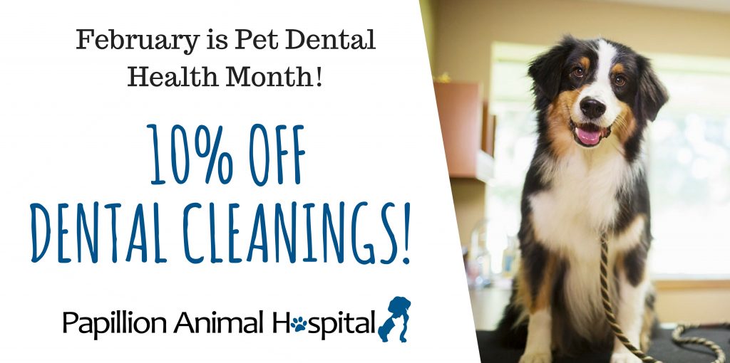 10% off cleanings
